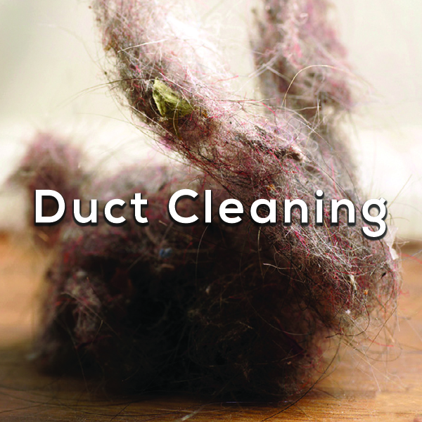 Dust bunny - Duct Cleaning