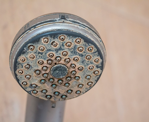 How to Clean a Shower Head and Get Rid of Mineral Buildup, Architectural  Digest